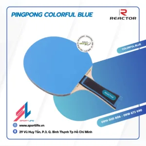 PINGPONG Colorful Blue (4)