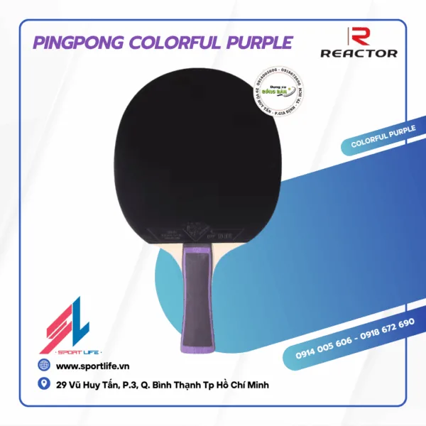 PINGPONG Colorful Purple 4 PINGPONG Colorful Purple