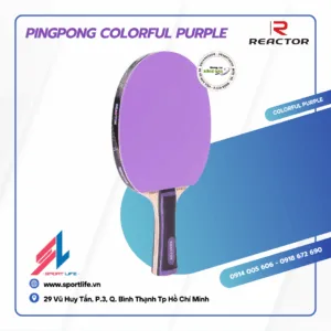 PINGPONG Colorful purple (3)